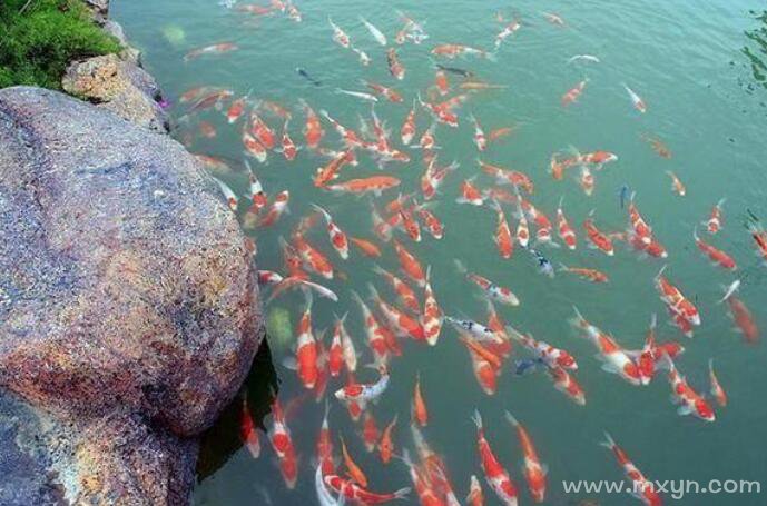 女人梦见好多虫子是什么意思 (女人梦见好多小蛇乱跑 女人梦见小蛇乱跑心坎有什么烦恼)