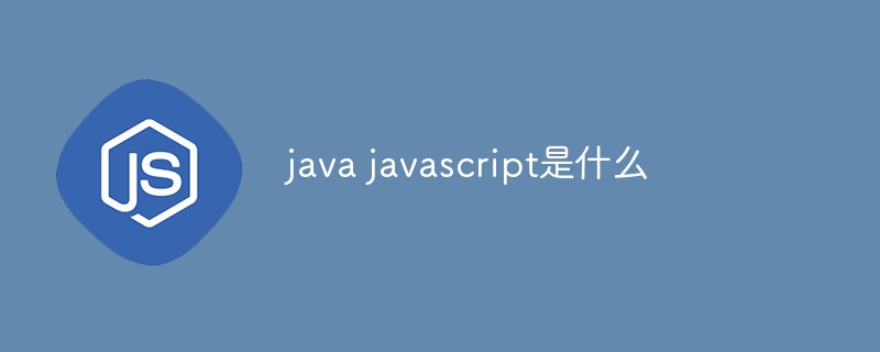 JavaScript 入门：轻松掌握基础知识和概念 (javascript)