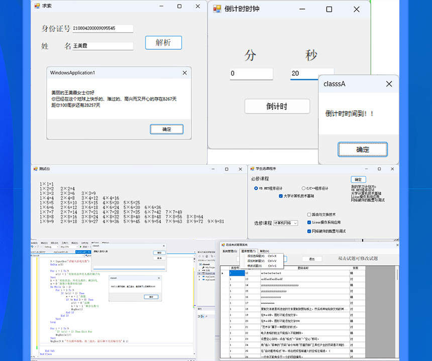 在 VB.NET 应用程序中管理、查询和更新数据库数据的实用指南 (在vbnet中解决方案文件扩展名)