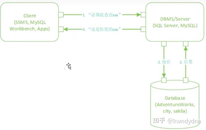 精通SQL语言：解锁数据世界的宝藏