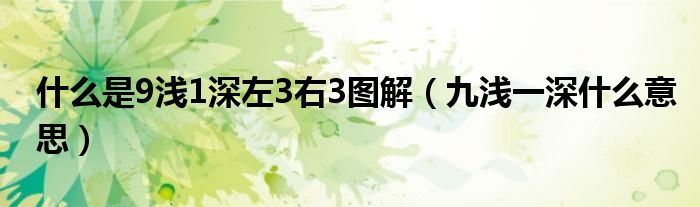 深入浅出，九成SEO必备技能大解析，助你优化网站流量 (深⃚入⃚浅⃚出⃚)