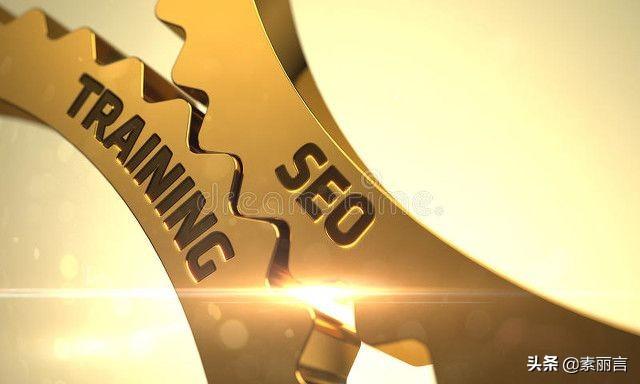 SEO 入门指南：掌握搜索引擎优化艺术，提升网站排名 (seo 入门)