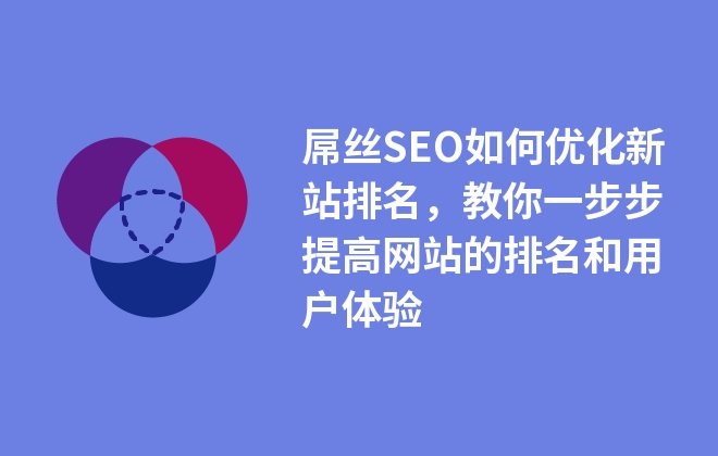 SEO屌丝的进阶指南：从初学者到行业专家 (seosrx)