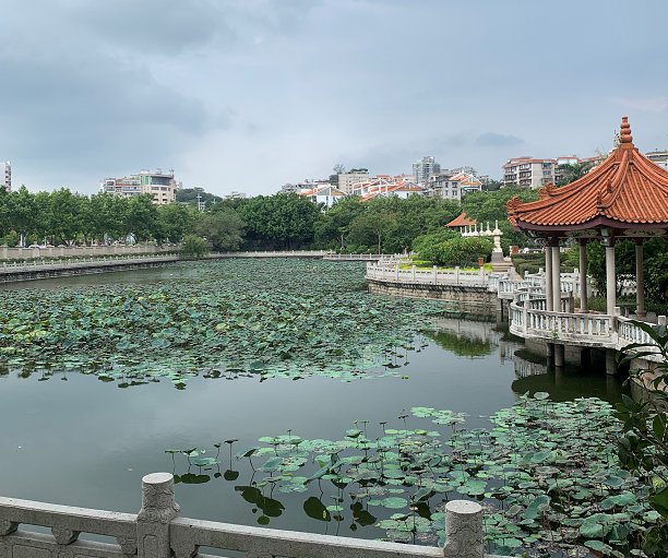 企业在领域乘风破浪