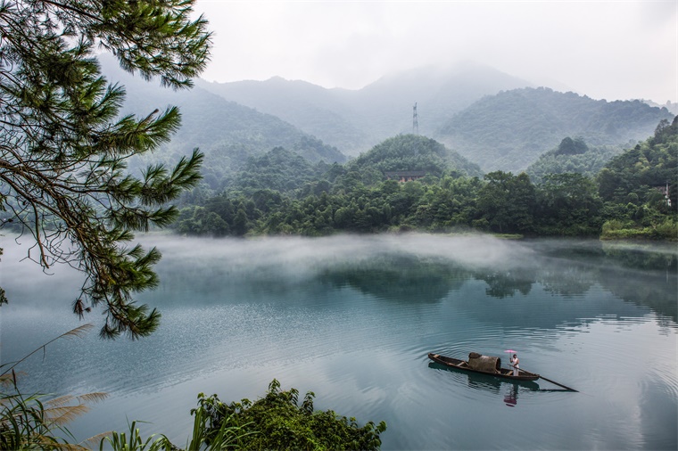 郴州SEO 优化：提高您在线影响力的终极策略 (郴州优化公司)