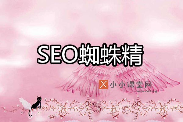 SEO蜘蛛精的终极指南：从初学者到专家的综合实践手册 (seo蜘蛛精怎么用)