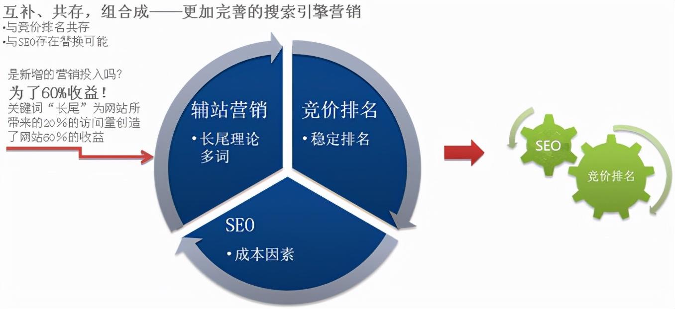 SEO 学习之旅：初学者的全面指南 (seo入门知识)