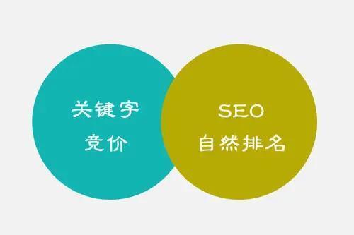 百度 SEO 优化指南：从初学者到专业人士的循序渐进指南 (百度SEO有哪些基础优化)