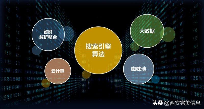 搜索引擎优化专家级指南：从头到尾剖析SEO策略和最佳实践 (搜索引擎优化是什么意思)