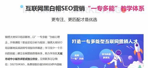 提升SEO实战技能，解锁网站流量增长密码 (seo提升营销)