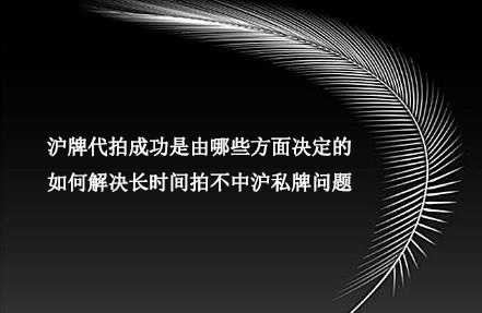 成功的 SEO 案例：揭秘提高搜索引擎排名的有效策略 (成功的seo案例)