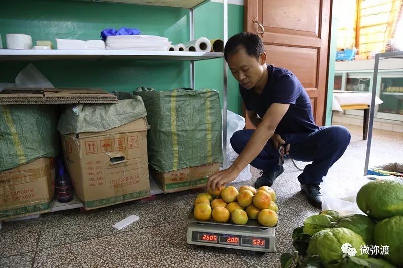 草根 SEO 策略：无需大预算即可提升网站的可见性 (草根seo站长)