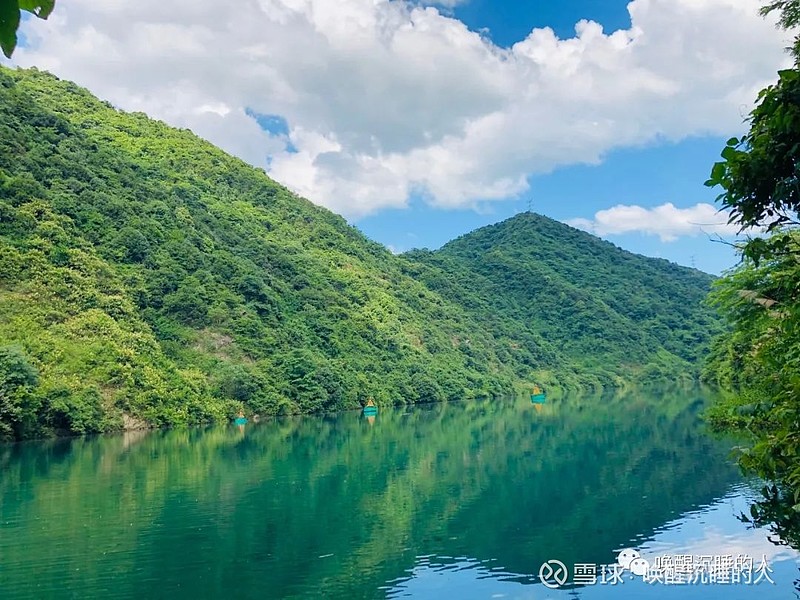 揭秘重庆SEO优化奥秘：打造高转化率网站 (揭秘重庆师范大学:一本还是二本?学校实力究竟如何?)