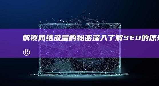 解锁网络流量的秘密：深入了解 SEO 的原理与实践 (解锁网络流量怎么设置)