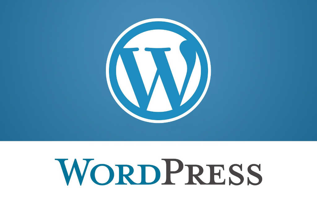 WordPress SEO 入门手册：优化网站内容和技术细节 (wordpress自助建站)