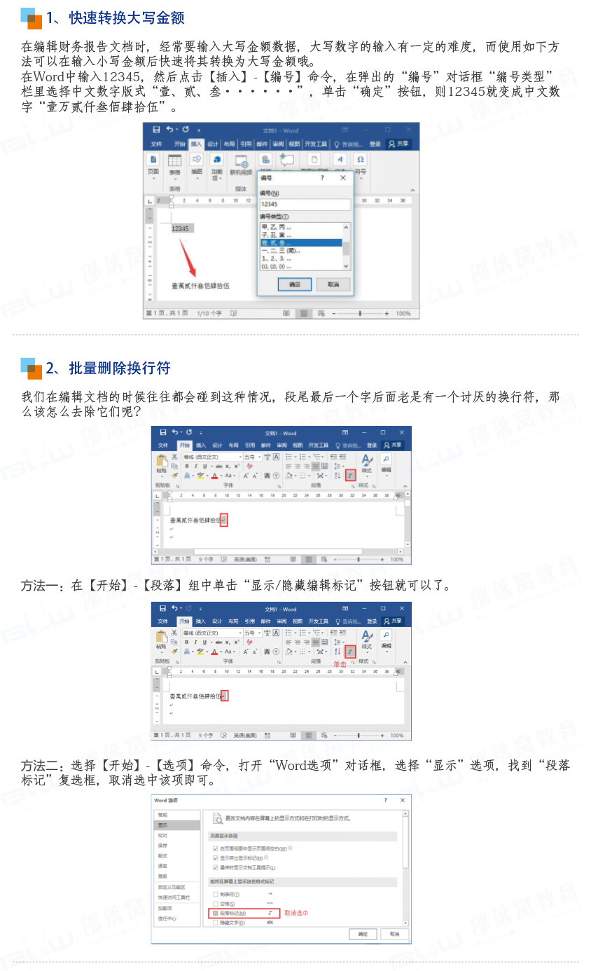 掌握 WordPress SEO 奥秘：提高网站知名度和转换率 (掌握word的基本操作)