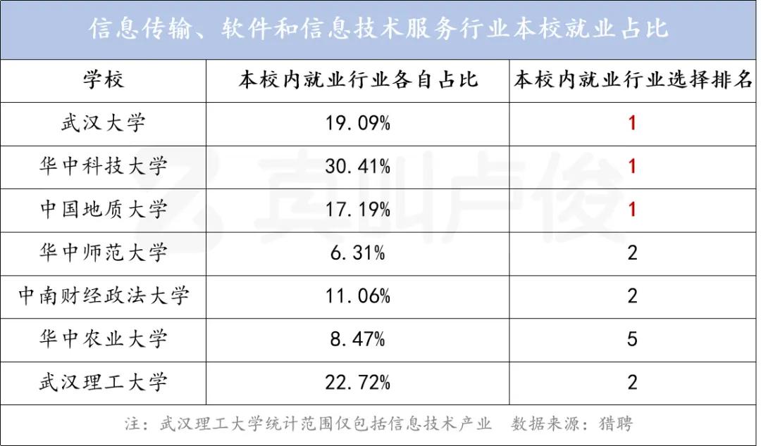 在武汉引领数字营销：通过全面的 SEO 优化服务占据市场主导地位 (武汉突破性发展数字经济)