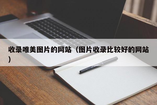 全网网站收录情况一览：洞见您的在线影响力 (全网网站收录多少)