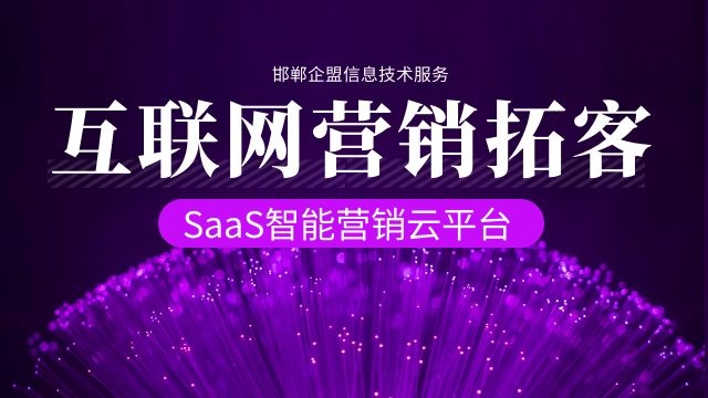 企业网络推广的全面指南：提升在线知名度和业务增长 (张家港企业网络推广)