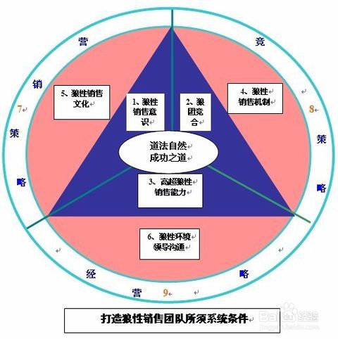 网络推广团队：解锁数字营销的全部潜力 (网络推广团队怎么建立)