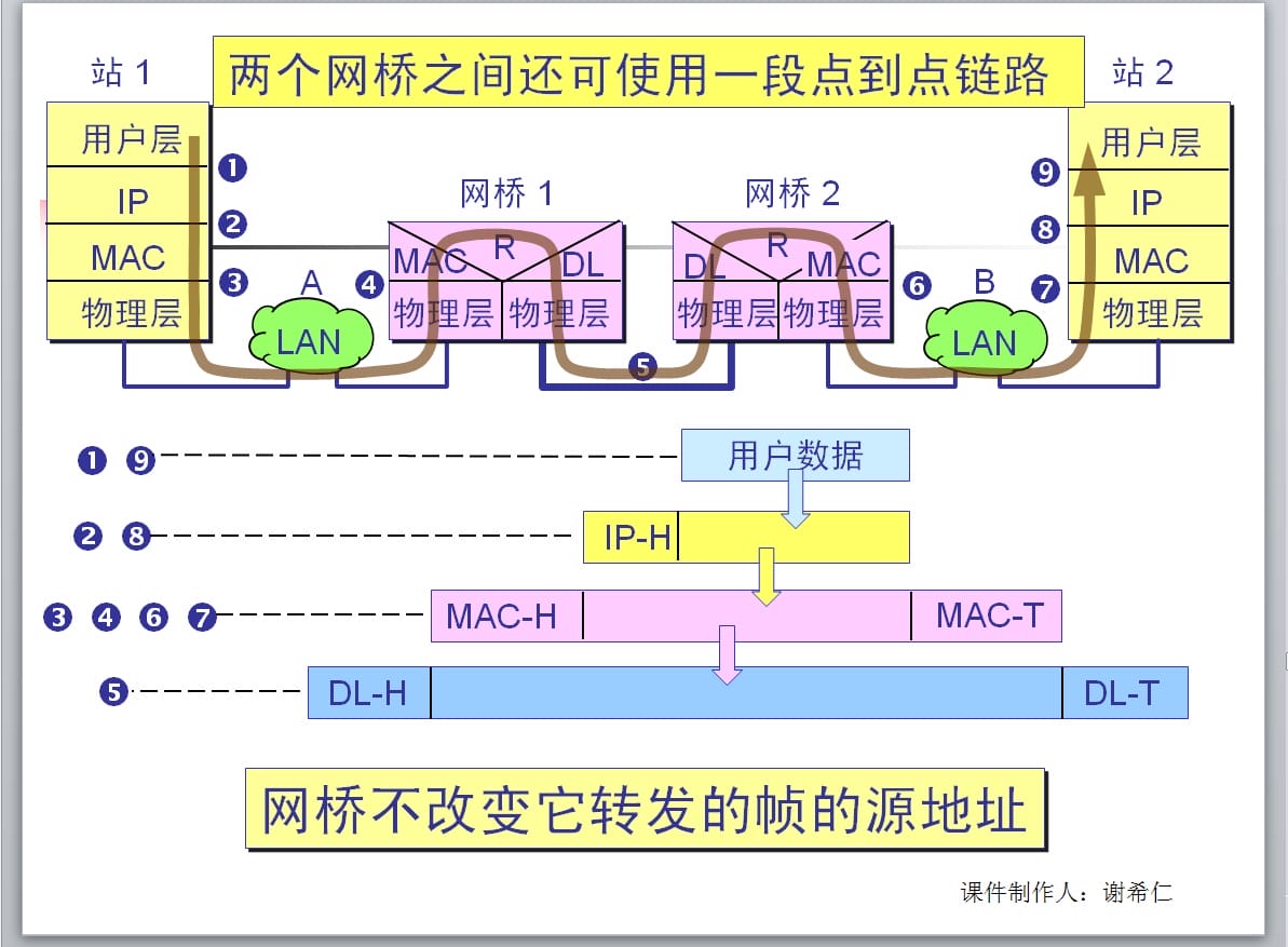 零基础网络构建：从头开始创建一个网站的详细教程 (网络构建基础)