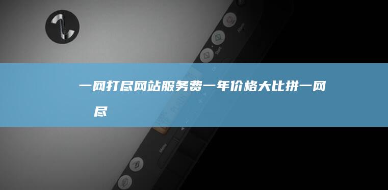 一网打尽！网站服务费一年价格大比拼 (一网打尽网吧)