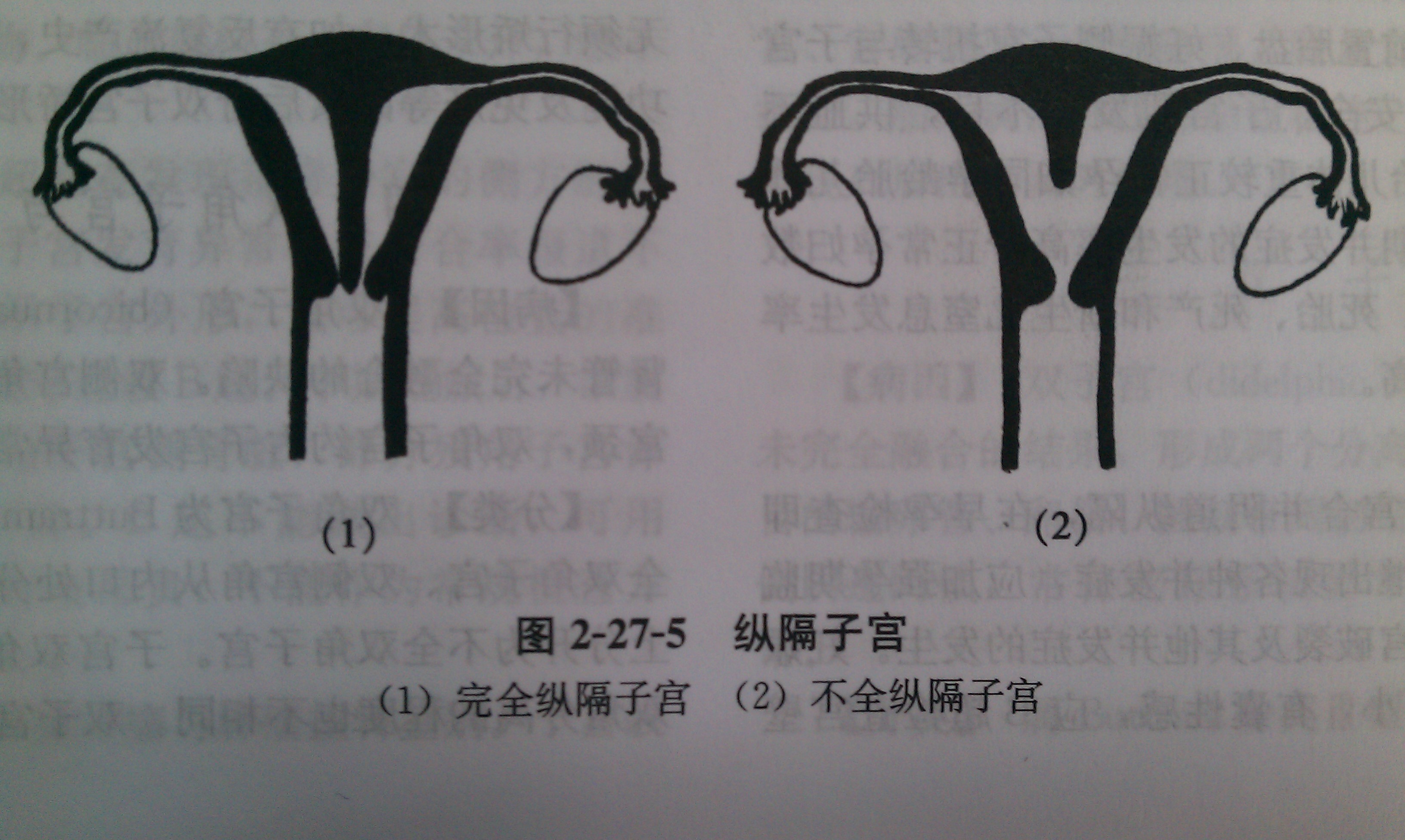 充分利用 DIY：逐步指南，帮助您创建自己的网站 (充分利用点)