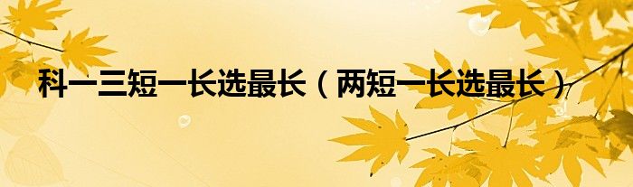 长标题 1: 关键词排名优化：解锁搜索引擎成功之路 (长标题格式样板)