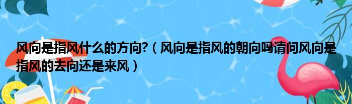 掌握行业风向：权威榜单揭晓，助您找到顶级网站制作公司 (掌握行业风向的软件)