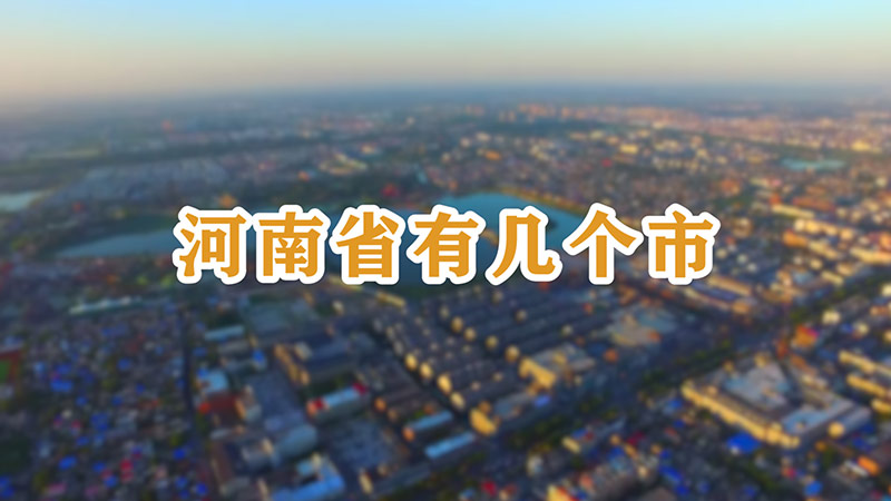 河南省领先的网站设计公司：塑造您的数字未来 (河南省领先的城市排名)