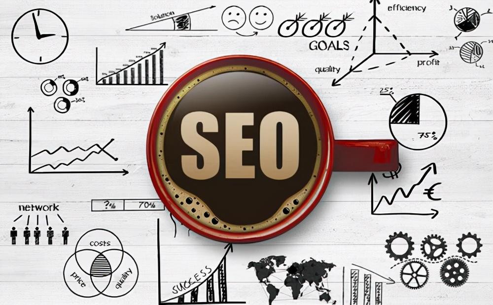 SEO 优化分析：深入洞悉您的网站性能 (seo的优化步骤)