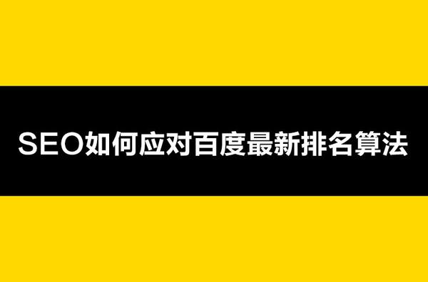 解锁百度排名新篇章：全面且专业的百度优化服务 (百度的排名规则详解)