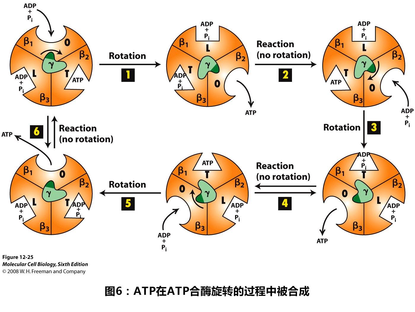 将你的构想变为现实：利用强大的网站建设软件打造美观且高效的在线体验 (把你的想象成为现实)