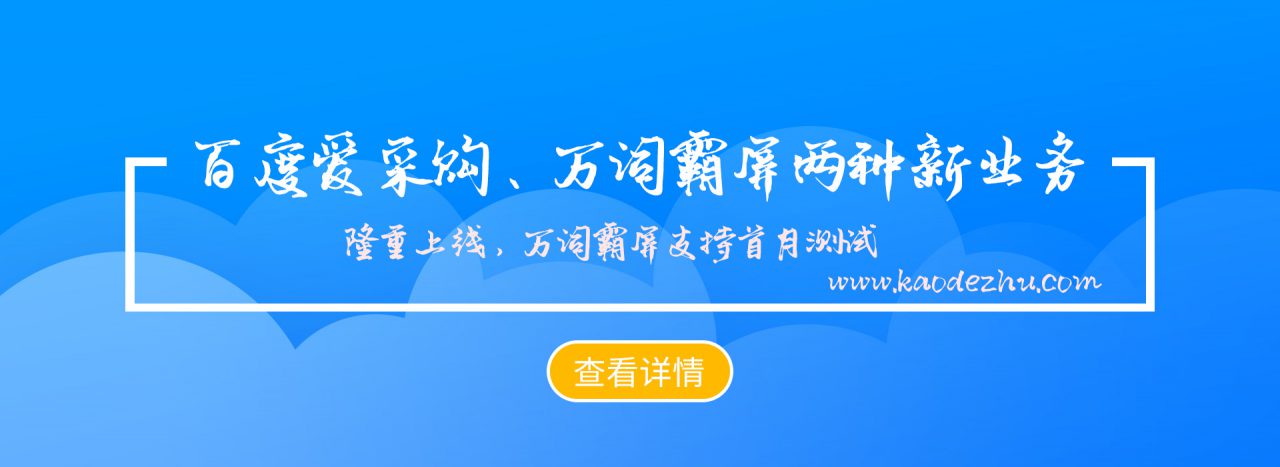 网站优化对业务增长的关键影响和最佳实践 (网站优化对业绩的影响)