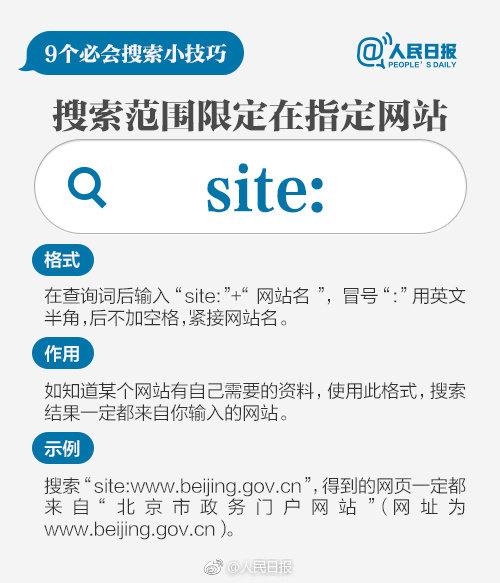 深入了解搜索引擎优化的必备技能：洞悉算法和提升网站可见性 (深入搜索引擎)