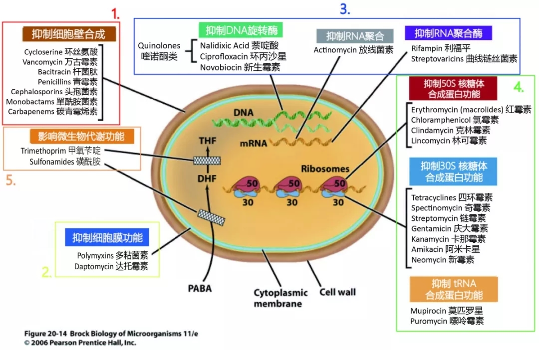 利用 ASO 优化网站，在移动应用商店脱颖而出 (aso优化的优缺点)