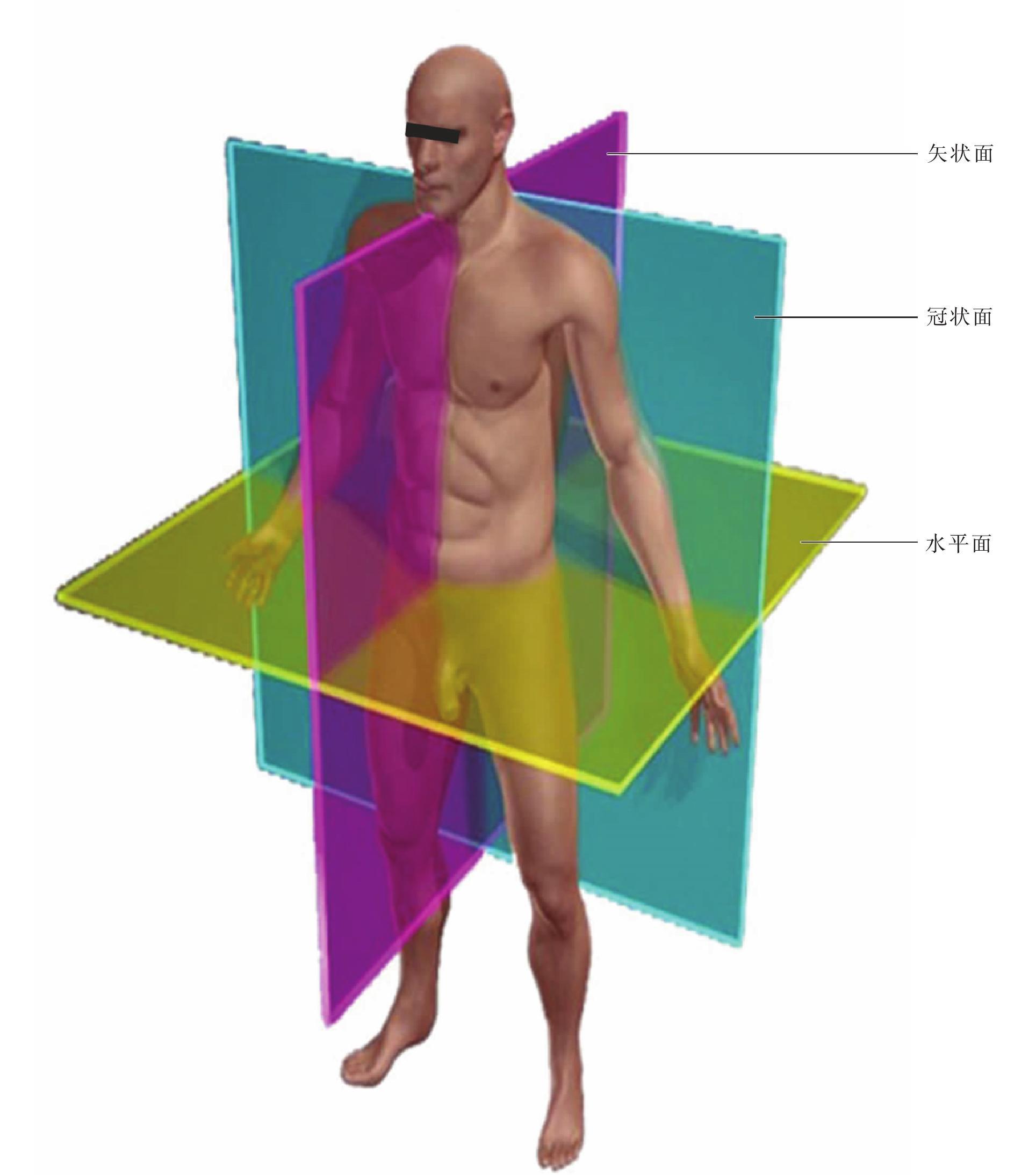 全方位剖析 Web 前端性能优化技巧：从资产优化到代码精简 (全方位剖析沃尔玛成功历程)