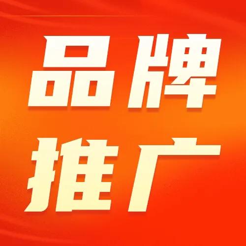 提升品牌知名度和网络流量：网络推广网站的终极指南 (提升品牌知名度的策略)