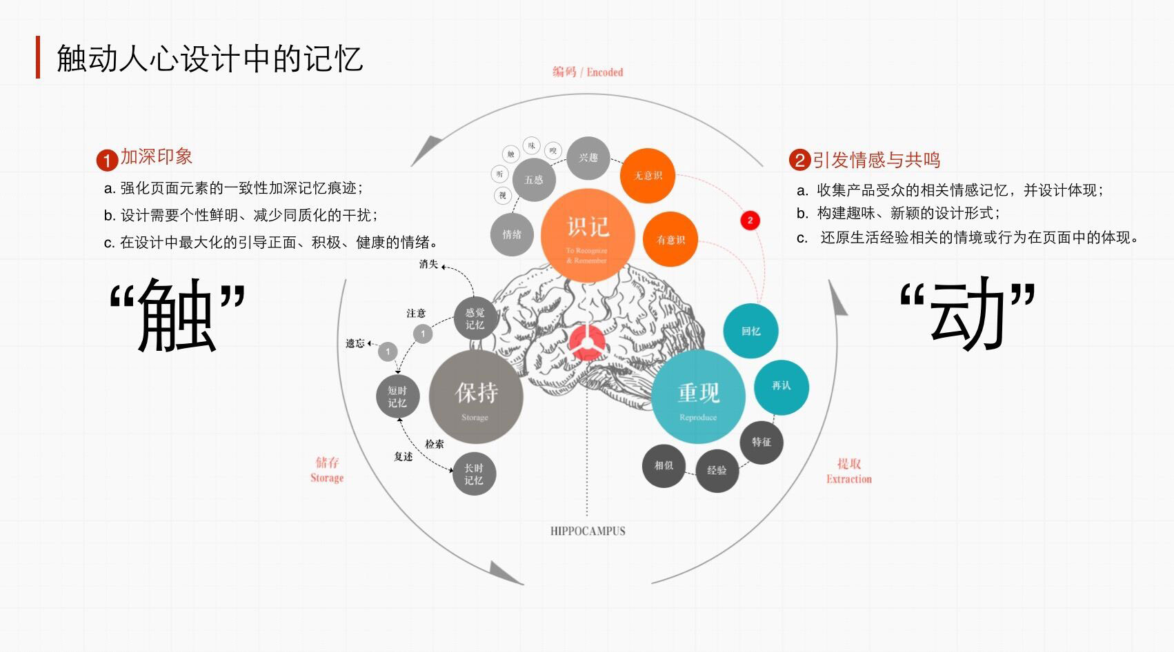 触达更广泛受众：全面性的网站推广解决方案 (触达更广泛受到的伤害)