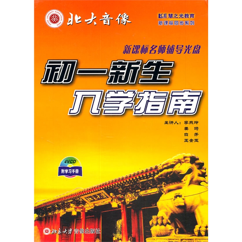 初学者指南：掌握推广策略的艺术 (初学者指南)