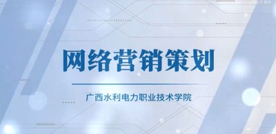 网络推广策划：从战略到执行的全面指南 (网络推广策划案写作七步法)