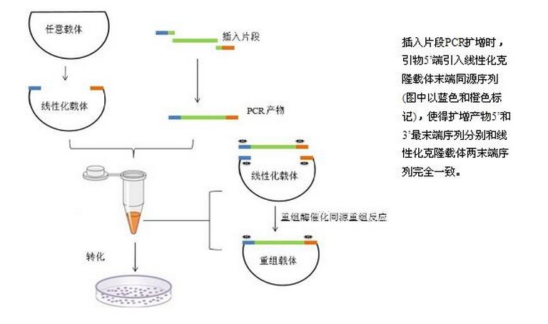 无缝整合推广：从流量获取到转化，优化营销漏斗 (无缝整合推广怎么做)