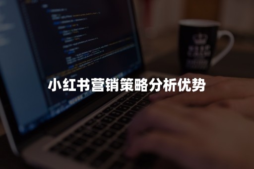 小红书营销指南：解锁社交电商无限商机 (小红书营销指的是什么)