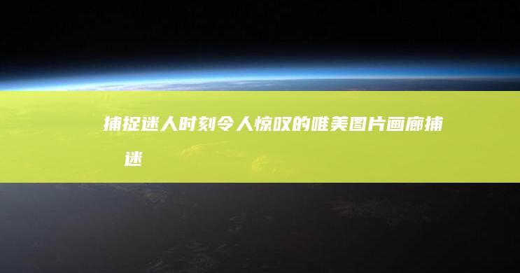 捕捉迷人时刻：令人惊叹的唯美图片画廊 (捕捉迷人时刻是什么歌)