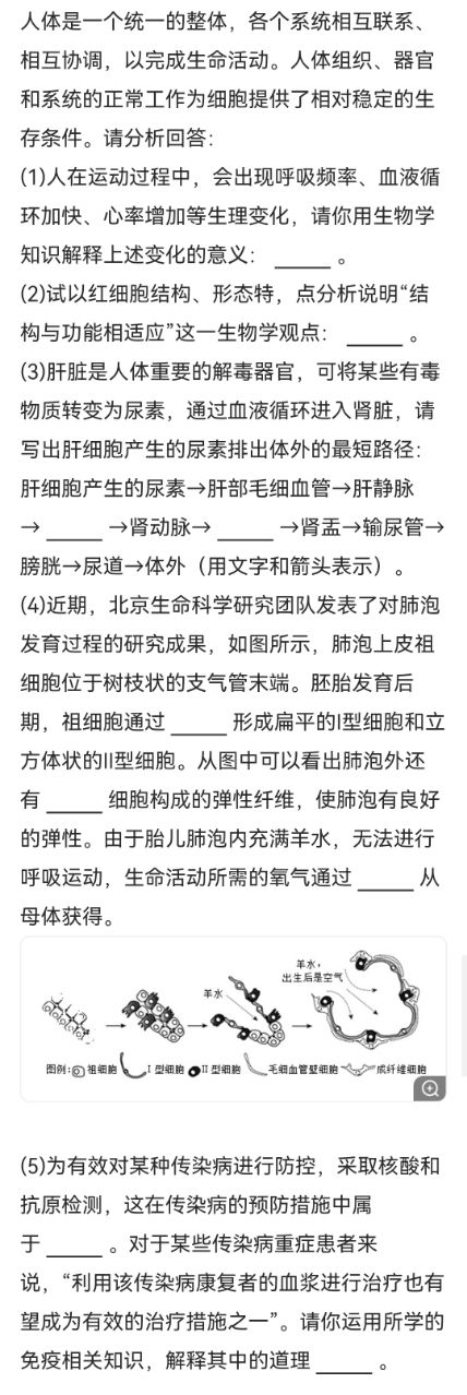 掌握百度SEO排名规则，打造品牌在线影响力，抢占市场先机 (掌握百度百科推广的方法)