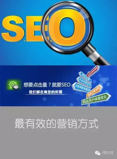 SEO新手入门：从入门到精通的终极指南 (seo新手入门)