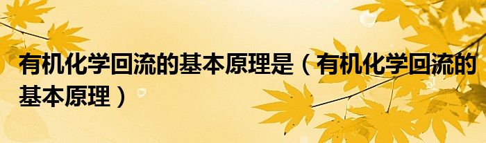 掌握有机流量的艺术：招募合格的 SEO 人员以推动增长 (有机流量的意思)