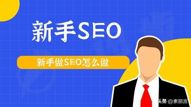 SEO 初学者指南：提升网站可见性和流量 (seo初学者如何自学)