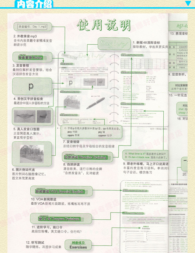 零基础入门：建立网站的完整手册，让初学者也能轻松掌握 (零基础入门会计)