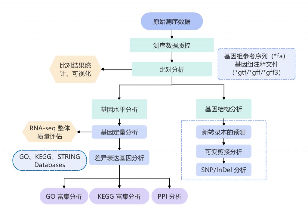 技术指南：逐步建立和创建自定义网址 (技术指南是什么)